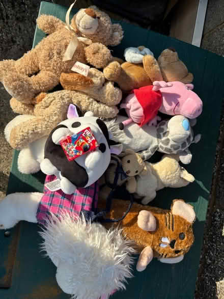 Photo of free Lots of teddies (Princes Risborough) #1