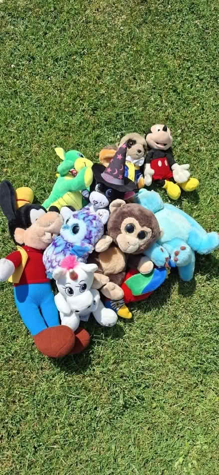 Photo of free Selection of teddies (Leigh on Sea SS9) #1