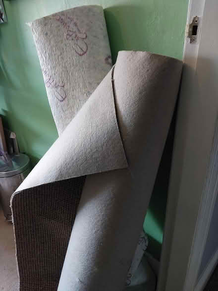 Photo of free Carpet and underlay (Shipley BD18) #3