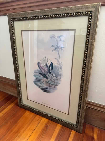 Photo of free Botanical print (Somerville) #1
