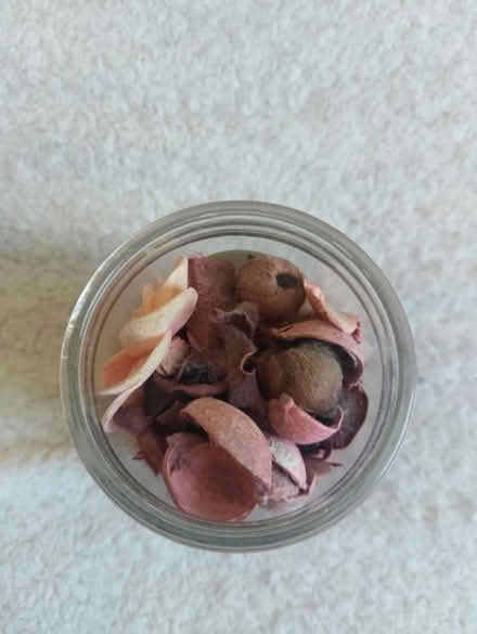 Photo of free Pot pourri (SW8 London) #2