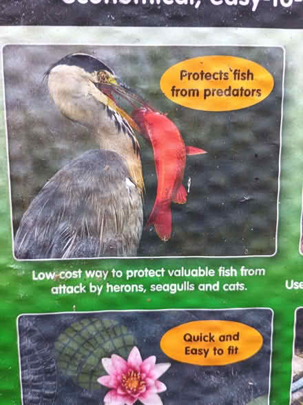 Photo of free Netfloats for pond (Plains Farm) #2