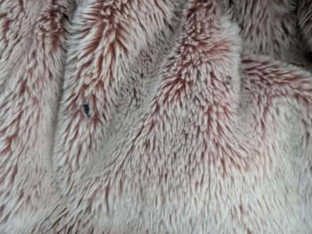 Photo of free pink chilren's bean bag (Petersfield Ward CB1) #3