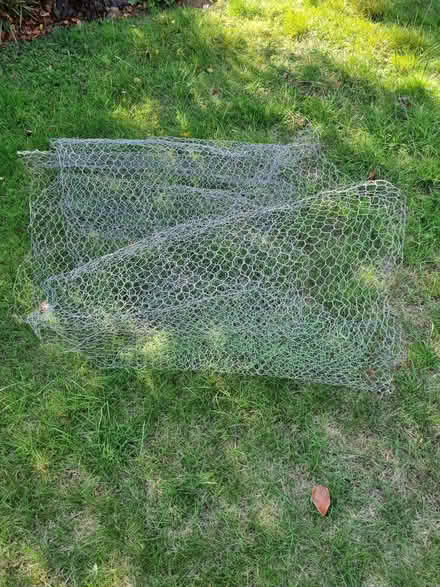 Photo of free Chicken mesh (Wells BA5) #2
