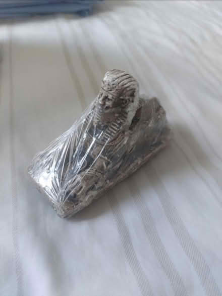 Photo of free Sphinx (SW8 London) #1