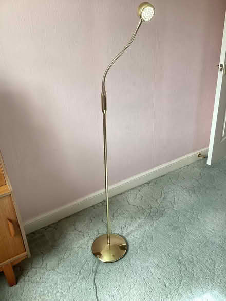 Photo of free Floor standing lamp (Balerno EH14) #1