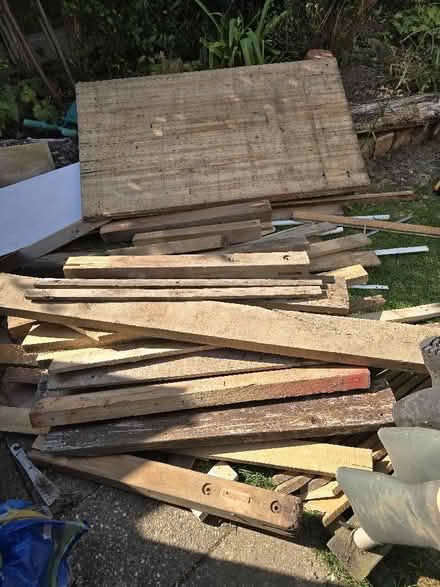 Photo of free Timber (Rochford SS4) #1