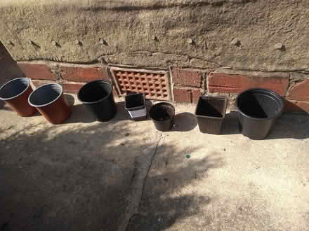 Photo of free Various Plant Pots (Sharrow S2) #1