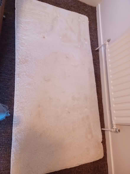 Photo of free 2 beige/cream rugs (Kidlington OX5) #1