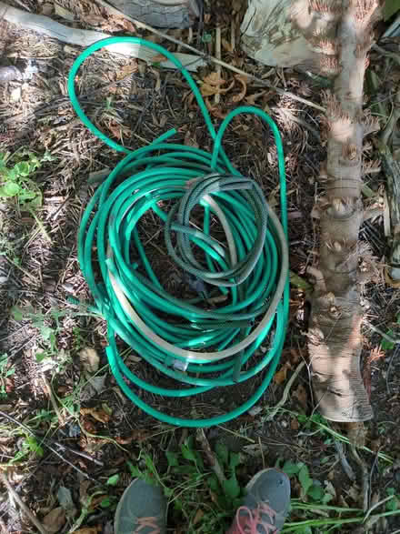 Photo of free Odd bits of hosepipe (Bradley ST18) #1