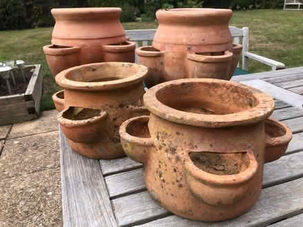 Photo of free Plant pots plus / planters (Wheathampstead AL4) #1