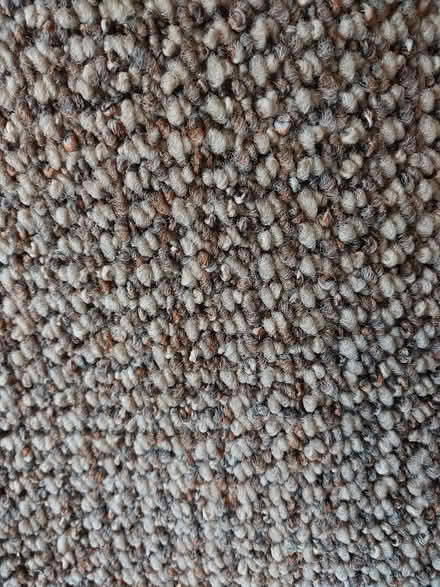 Photo of free Carpet and underlay (Shipley BD18) #2