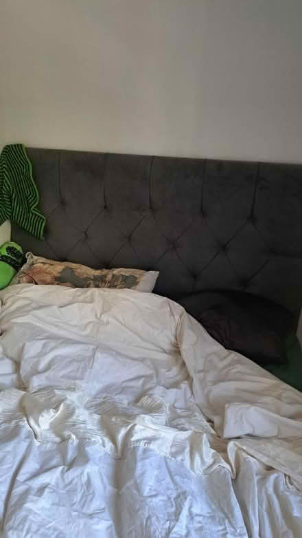 Photo of free Double Divan Bed (Markfield LE6) #1