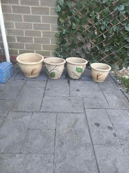 Photo of free 4 Plant Pots (Whitelea NE23) #1