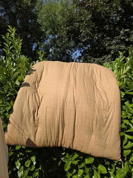 Photo of free Japanese futon matress(double size) (Cyncoed, CF23) #1