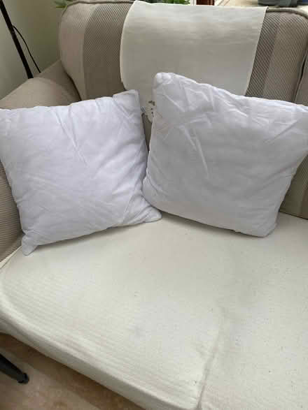 Photo of free Cushion fillers (Sandycove) #1
