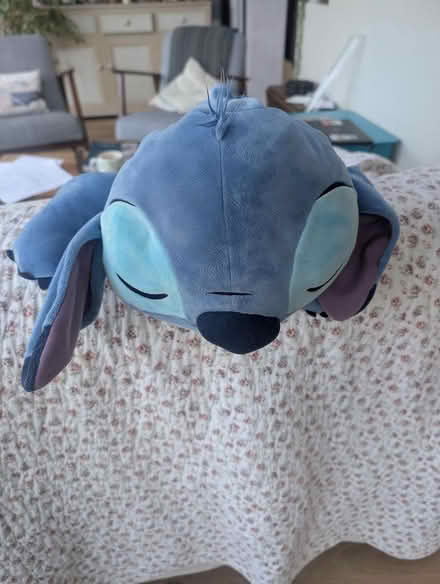 Photo of free Stitch Disney soft toy (walberton) #1