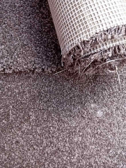 Photo of free Grey/some Brown Carpet Roll (off cuts) (Kingston Hill ST16) #1