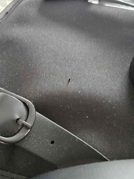 Photo of free Rains backpack (see fault) (N5 Highbury) #2