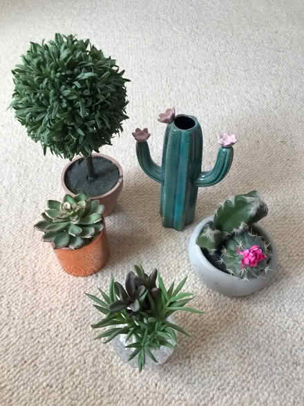 Photo of free Various ornaments (Westbourne) #1