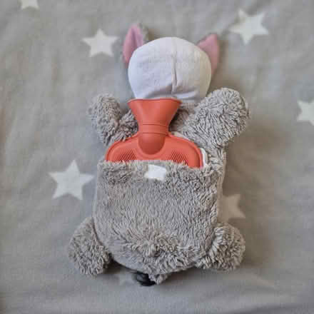Photo of free Eeyore Hot Water Bottle (Leigh Park PO9) #2