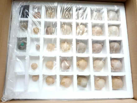 Photo of free OU Science kit (Glasgow G43) #1