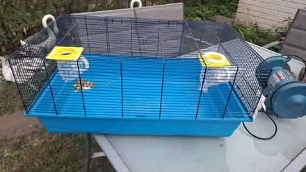 Photo of free Pet cage large (Prenton) #1