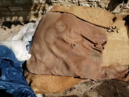Photo of free Old wool carpet and hessian underlay (Cowley OX4) #1