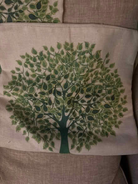 Photo of free Two 45cm linen pillow cases (Limehouse E1) #2