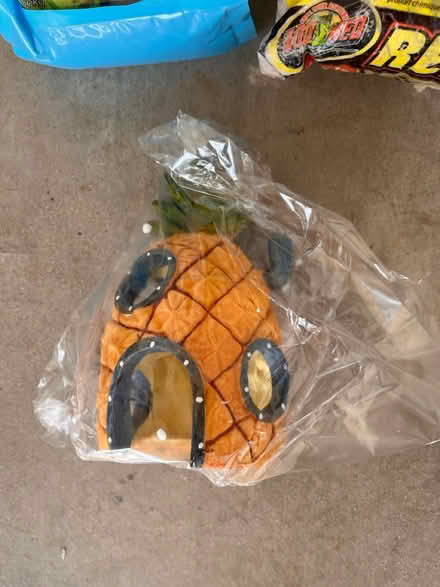 Photo of free New items for aquarium (303 and I 10) #2