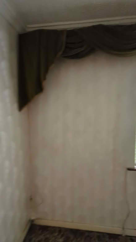 Photo of free Vintage green velvet curtains (Drimnagh) #3