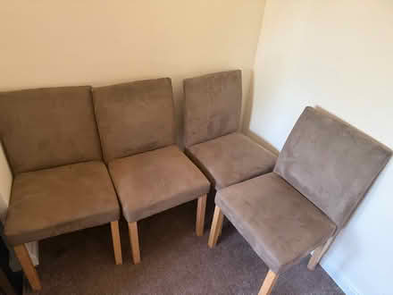 Photo of free 4 set of dining chairs (BN3 Hove.) #1