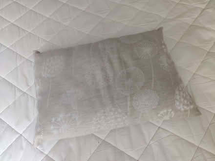 Photo of free small cushion (Corsham) #1