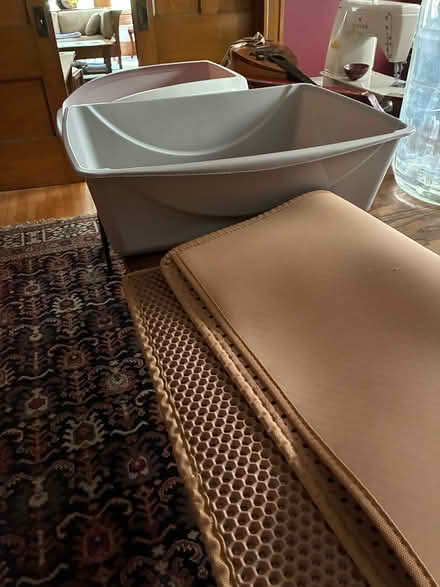 Photo of free Cat litter boxes and mat (Park-Monroe Neighborhood) #3
