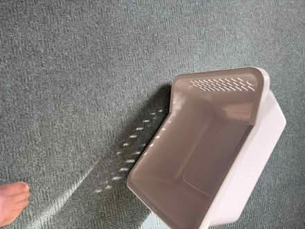 Photo of free Superbowl wash and drain (BT4) #3