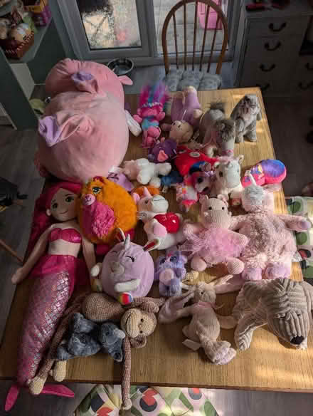 Photo of free Big bag of soft toys (Broomgrove TN34) #1
