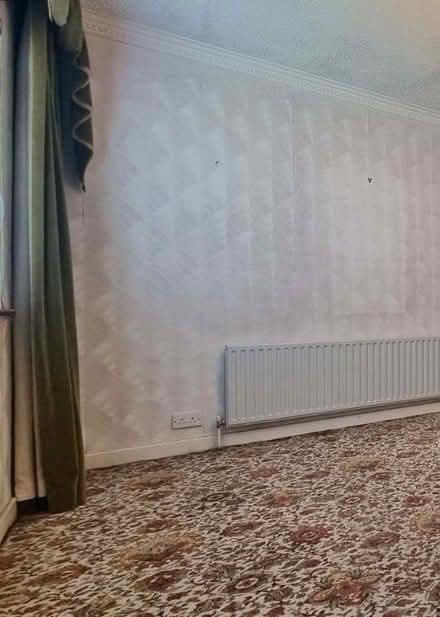 Photo of free Vintage green velvet curtains (Drimnagh) #2