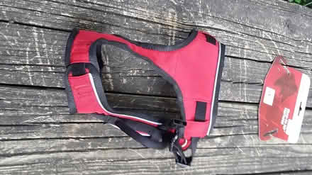 Photo of free Dog harness (NE Ann Arbor) #4