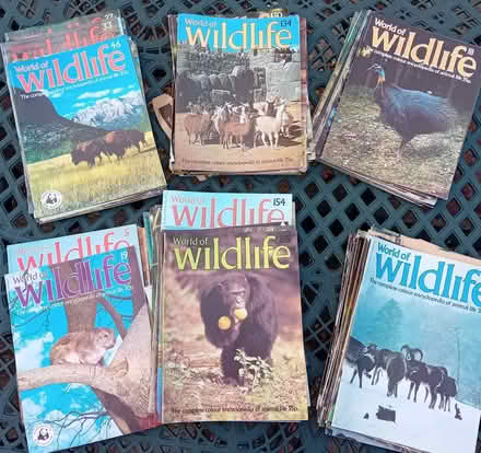 Photo of free 1970s World of Wildlife Magazines (Lamorbey DA15) #1