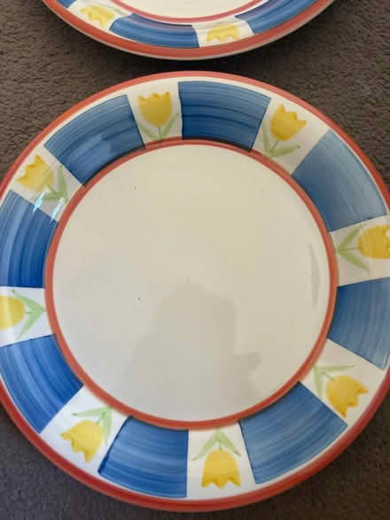 Photo of free two large dinner plates (Barking IG11) #2