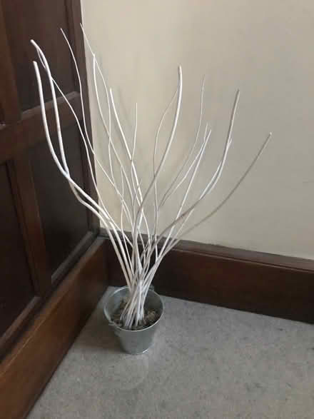 Photo of free Decorative branches (Hinchley Wood KT10) #1