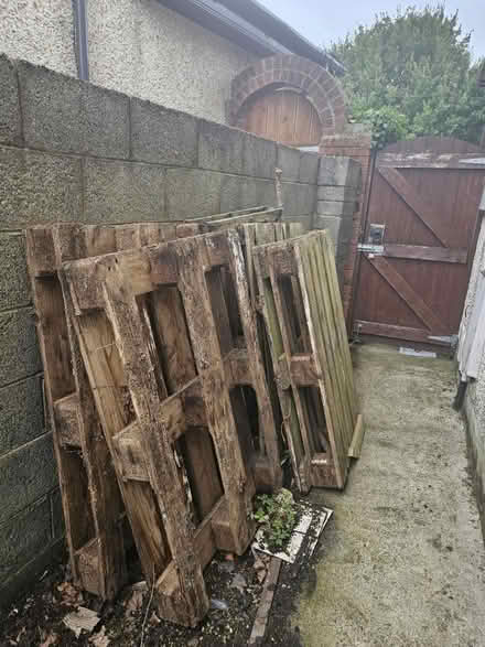 Photo of free Firewood (Naas) #3
