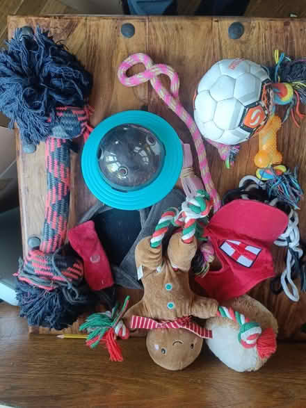 Photo of free Dog toys (Friern Barnet, N11) #1
