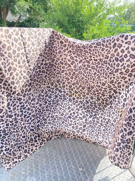 Photo of free Shower curtain (Agar Grove NW1) #1