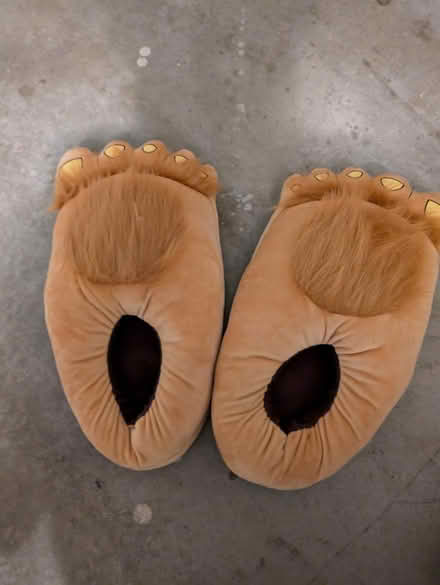Photo of free Monster slippers (North Fremont/union City area) #1