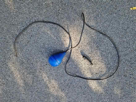 Photo of free Float switch for pond pump (North Road) #1