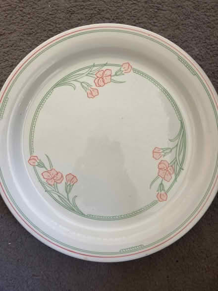 Photo of free Set of two large dinner plates (Barking IG11) #2