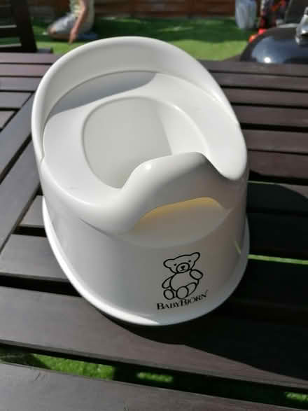 Photo of free Potty baby bjorn (Thornton Heath CR7) #2