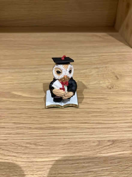 Photo of free Graduation keepsake - owl with scroll (Aston CH5) #1