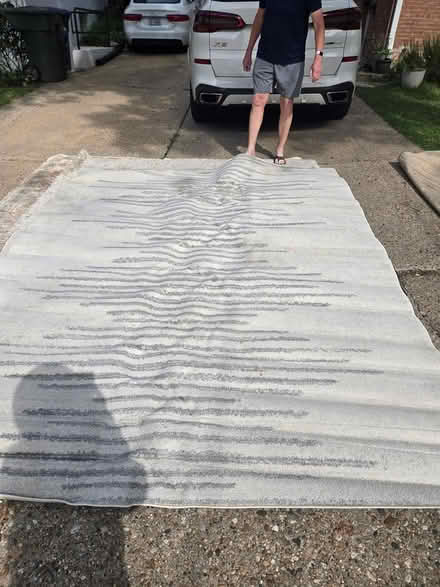 Photo of free Several area rugs (palisades) #1